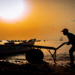 Coucher du Soleil La vie des pêcheurs à Dakar  – Bord de mer en pleine activité
